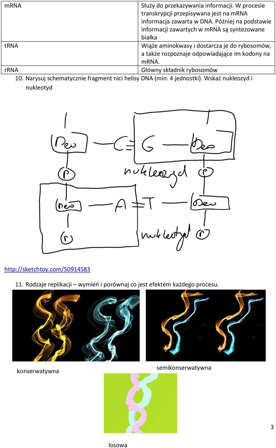 odpowiadające im kodony na mrna. rrna Główny składnik rybosomów 10. Narysuj schematycznie fragment nici helisy DNA (min. 4 jednostki).