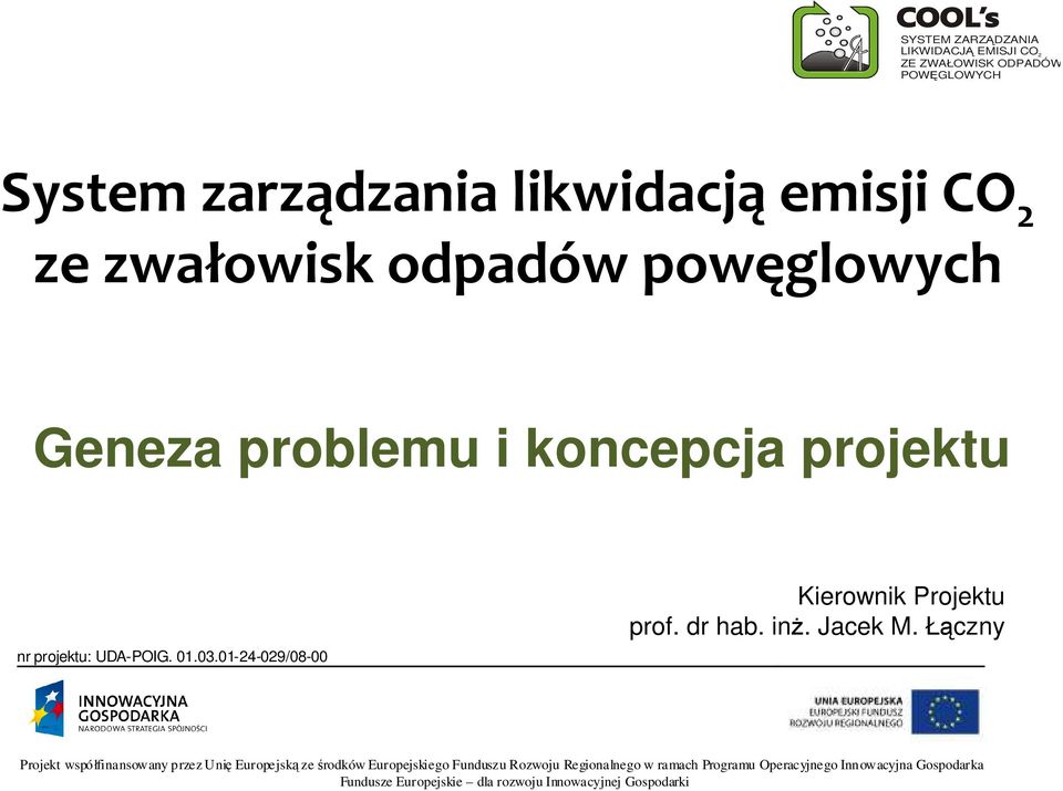 problemu i koncepcja projektu Kierownik