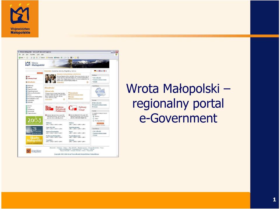 e-government