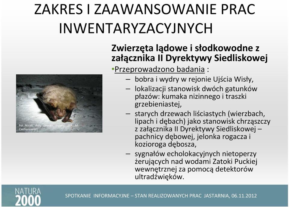 Ujścia Wisły, lokalizacji stanowisk dwóch gatunków płazów: kumaka nizinnego i traszki grzebieniastej, starych drzewach liściastych (wierzbach, lipach i