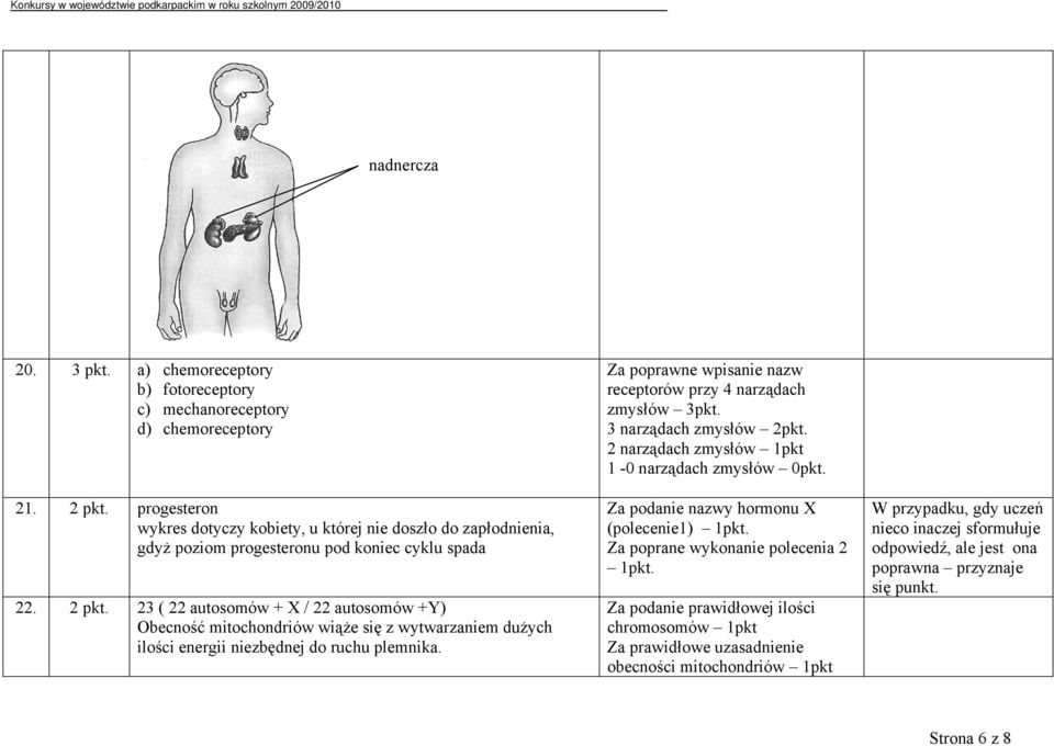 23 ( 22 autosomów + X / 22 autosomów +Y) Obecność mitochondriów wiąże się z wytwarzaniem dużych ilości energii niezbędnej do ruchu plemnika.