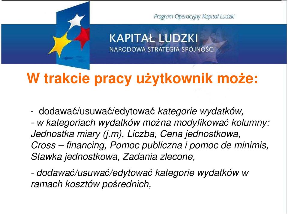 m), Liczba, Cena jednostkowa, Cross financing, Pomoc publiczna i pomoc de minimis,