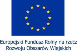 lata 2007 2013 w ramach działania 431 Funkcjonowanie lokalnej grupy działania, nabywanie umiejętności i aktywizacja