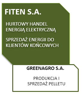 Przez okres 6 lat FITEN zbudował i ugruntował swoją pozycję na rynku energii jako niezależny (niezwiązany z żadną grupą energetyczną) i solidny podmiot, bardziej rozpoznawalny za granicą niż w Polsce.