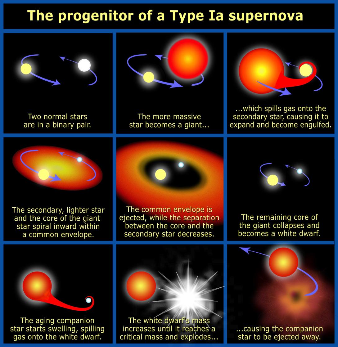 Supernowe: typ Ia Eksplodujące białe karły,