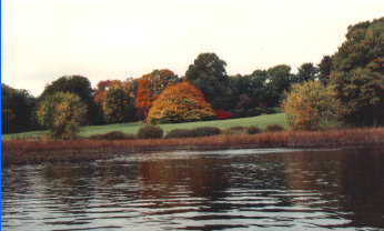 Transformacja kosinusowa (,) szybkie zanikanie współczynników obraz autumn