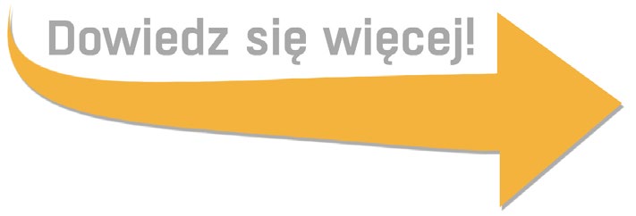 Szybkie skanowanie i trójwymiarowa wizualizacja w czasie rzeczywistym Przechwycenie danych do stworzenia dokładnego