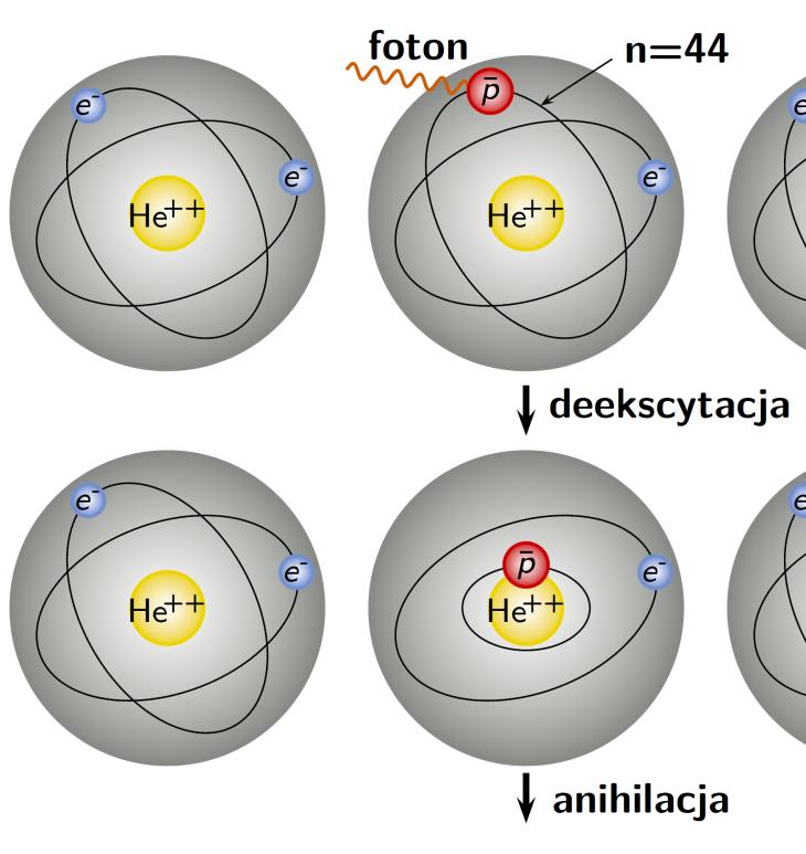 Atomy antyprotonowe helu Dyfuzja anomalna z długimi skokami w środowiskach niejednorodnych czas połowicznego rozpadu 1 ms. Doskonała sonda do badania struktury nadciekłego helu.