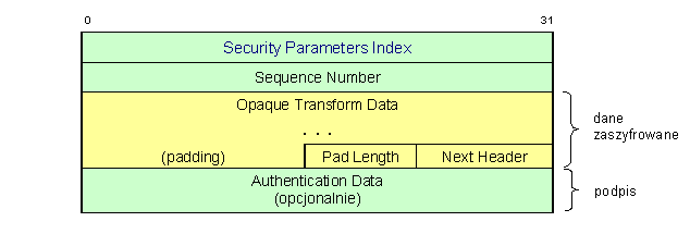 Encapsulating Security Payload (ESP) Zapewnia integralność i poufność zawartości datagramu oraz uwierzytelnianie źródła pochodzenia datagramu. Działa na wierzchu IP, używając numeru protokołu 50.