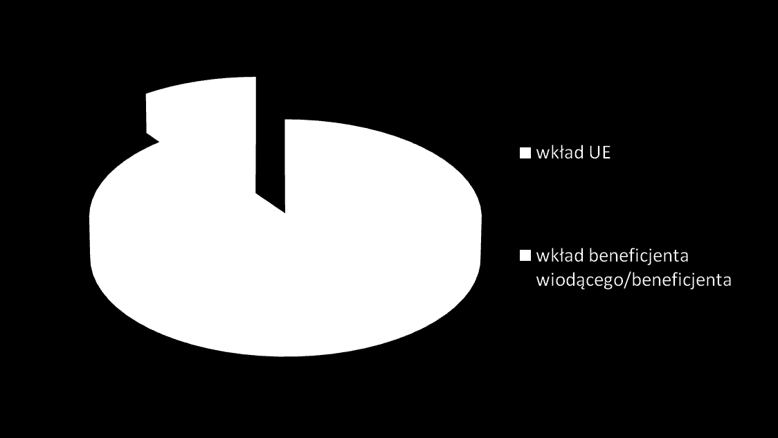 POZIOM DOFINANSOWANIA PROJEKTU Współfinansowanie beneficjenta