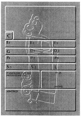 6) C.2.3 adres Właściciela pojazdu. 2.3.4. D dane dotyczące pojazdu obejmują wydruk następujących kodów i danych: 1) D.1 marka pojazdu, 2) D.