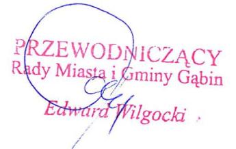 ZAŁĄCZNIK NR 2 do Uchwały Nr 229/XXXV/2009 Rady Miasta i Gminy Gąbin z dnia 30 września 2009 roku Wykaz uwag wniesionych do wyłożonego do publicznego wglądu PROJEKTU MIEJSCOWEGO PLANU