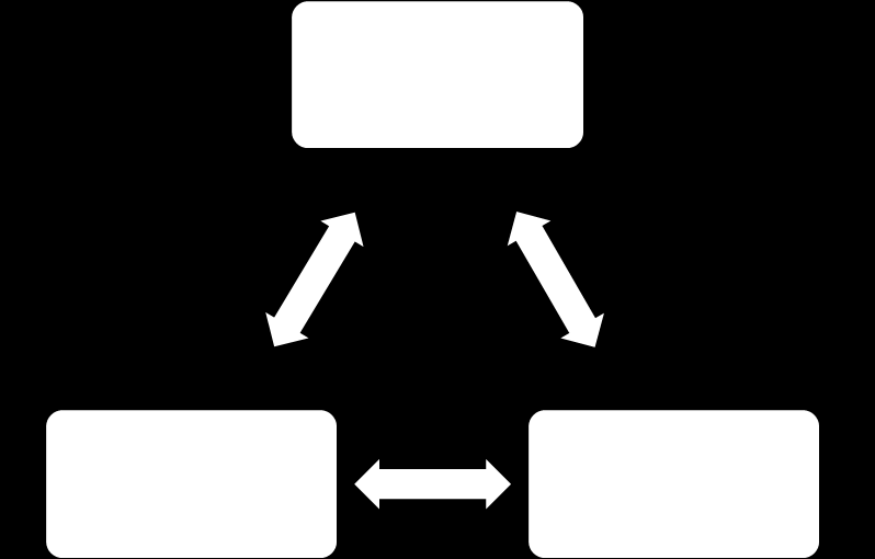 Struktura raportów Parametry opisujące ruch rowerowych w mieście Dokumenty warunkujące politykę rowerową Instrumenty realizacji polityki