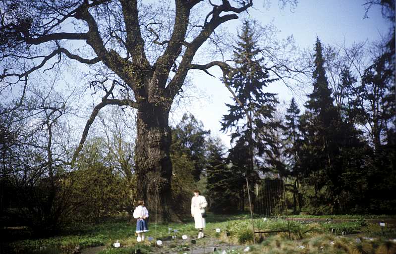 27 Fot. nr 38. Wiosna 1991. Fot. nr 39.