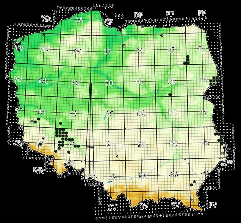 Przeplatka maturna rozprzestrzenienie i status Zasięg występowania w Polsce nieciągły Ostatnio stwierdzony