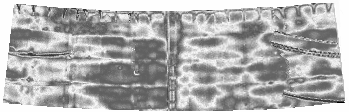 343 Rys. 5. Termogram (z lewej strony) i jego rozwinięcie na powierzchnię stożkową funkcją wielomianową trzeciego stopnia Rys. 6. Mozaika rozwinięć obrazów termograficznych fragmentu komina 5.