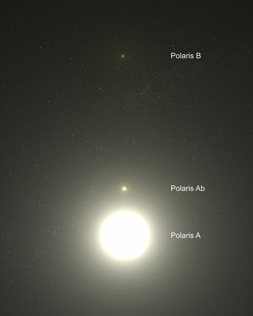 Polaris: układ wielokrotny Polaris A: typu Delta Cephei, masa 4,5 Msun Polaris
