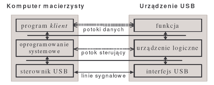 Struktura warstwowa magistrali USB Magistrala USB zbudowana jest na bazie architektury typu gwiazda.