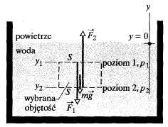 Płyny Płyn w spoczynku F 2 = F 1 + mg p 2 S =