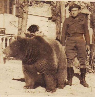 WOJTEK Jednym z najbardziej rozpoznawanych żołnierzy jest niedźwiedź Wojtek. Syryjskiego niedźwiedzia brunatnego od irańskiego chłopca Polscy żołnierze kupili w 1942 roku.
