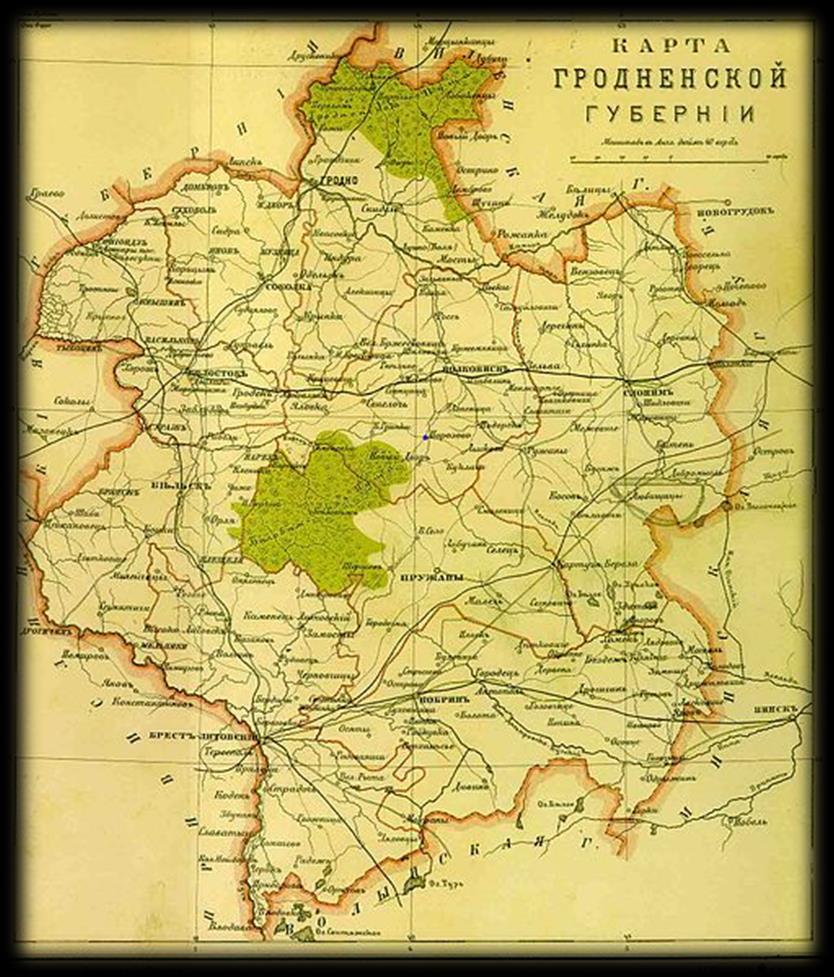 TROSZKĘ HISTORII Doświadczenie nad krzyżowaniem żubra i bydła zapoczątkował Leopold Walicki. Miało to miejsce na początku XIX wieku.