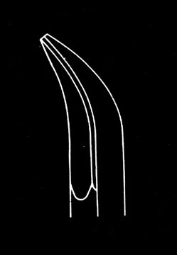 608117 MO-010-095-PMS 9,5 cm, 3 3/4 proste gerade straight 608119 MO-010-095-ZMS 9,5 cm, 3 3/4 odgiête gebogen curved 608123 MO-010-105-ZMS 10,5