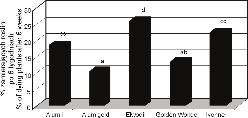 Progress in Plant Protection/Postępy w Ochronie Roślin 52 (1) 2012 95 strat dochodzących do 20% w nasadzeniach bukszpanu, lilaka, pierisa, sośnicy (Orlikowski i Szkuta 2001; Orlikowski i wsp.