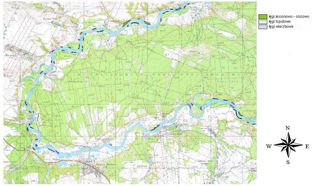 Powyższa mapa jest przykładowym odzwierciedleniem wykonanych prac. Na badanym terenie najliczniej reprezentowane są fragmenty łęgów jesionowo olszowych (Fraxino Alnetum).