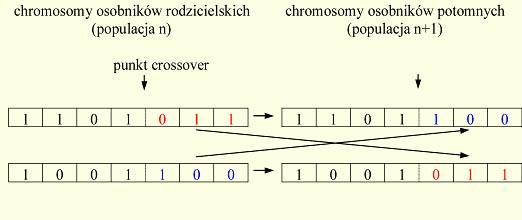 Algorytmy genetyczne Krzyżowanie i mutacja dla reprezentacji binarnej Krzyżowanie wymiana informacji pomiędzy