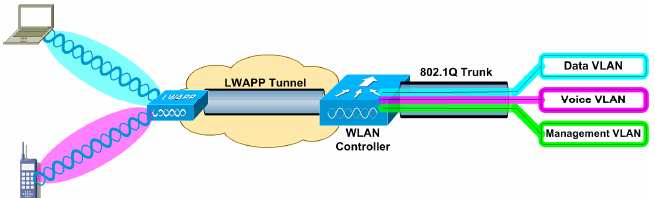 Komunikacja w systemie - LWAPP Light Weight Access Point Protocol jest protokołem uŝywanym pomiędzy punktami dostępowymi, a kontrolerem LWAPP