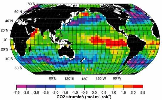 7.15. Oceany jako regulator klimatu ziemskiego Wody oceanu światowego pochłaniają 60 % atmosferycznego CO 2 i w procesie cyrkulacji termoklinowej transportują go w kierunku dna, gdzie m.in. zostaje związany w róŝnych związkach chemicznych.