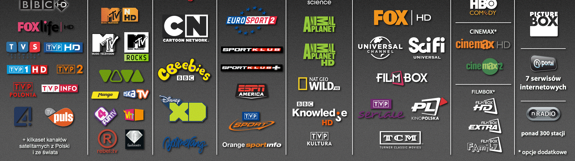 Grupa TVN jest teŝ właścicielem telewizji nowej generacji n Telewizja nowej generacji n została uruchomiona 12 października 2006 roku.