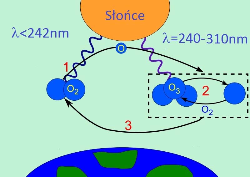 zon Cykl ozonowy (Sydney Chapman 1930) 2 + hν(<242 nm) 2 + 2 + M 3 + M 3 + hν (240-310 nm) 2 + 3 + 2 2 2 2 + 3 2 2 CFCl 3 + hν CFCl 2 + Cl Cl + 3 Cl + 2 Cl + 3 Cl + 2 2 20 mln ton freonów =
