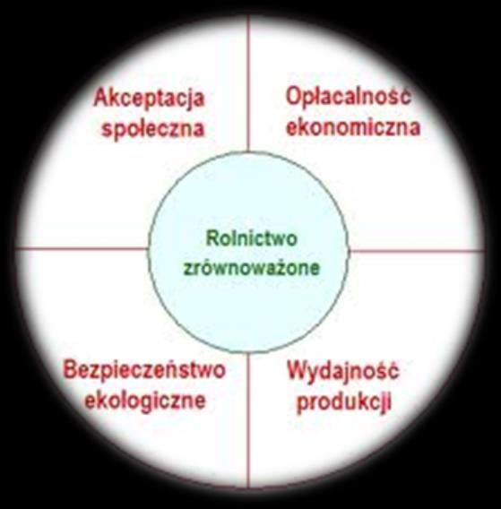 UZASADNIENIE WYBORU TEMATU BADAŃ Jednym z ważnych elementów środowiska przyrodniczego jest gleba.