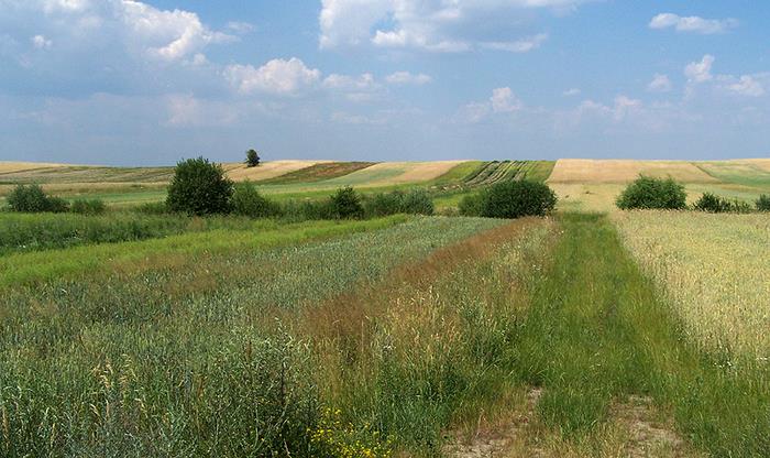 W ramach projektu zostały zrealizowane przez IUNG-PIB następujące zadania: 1.