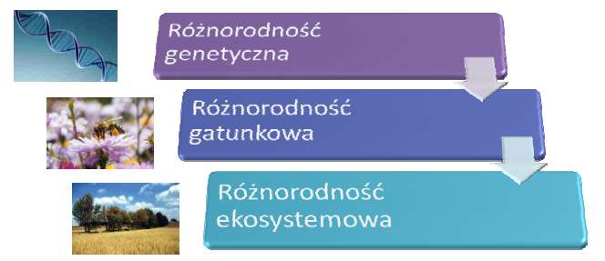 Dlaczego? Bioróżnorodność na świecie zanika w zastraszającym tempie. Kasujemy zawartość twardego dysku natury, nie wiedząc, jakie dane przechowuje. Stavros Dimas, Komisarz UE ds.