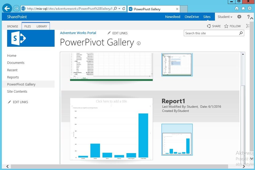 Power na platformie SharePoint Skoroszyt Excel opublikowany w PowerPivot Galery Możliwość opublikowania skoroszytów Excel zawierających źródła danych w Power Pivot i raporty Power View Kafelkowa