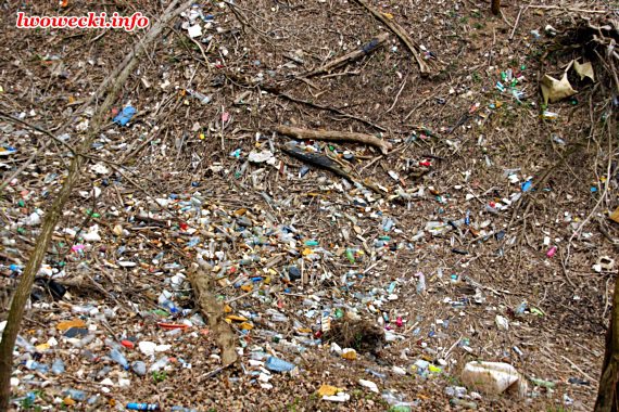 Tony śmieci zalewają zalew pilchowicki! Napisano dnia: 2015-05-04 08:24:22 Setki ton śmieci zalega na powierzchni wody oraz brzegach zalewu pilchowickiego.
