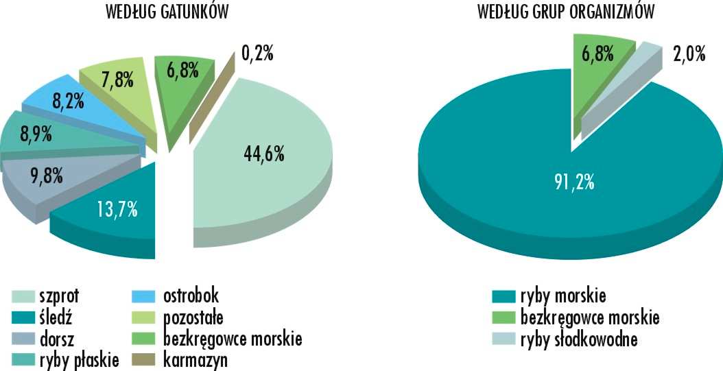 8 Gospodarka morska w Polsce w 2008 r. 4. Rybołówstwo morskie W 2008 r. polska flota rybacka liczyła 836 jednostek (o 34 mniej niŝ w 2007 r.), o łącznej pojemności brutto GT 41,0 tys.