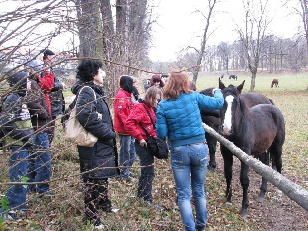 Efekty wycieczki 1.