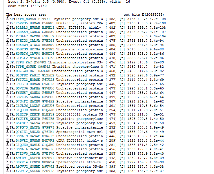 FASTA - Results Visual