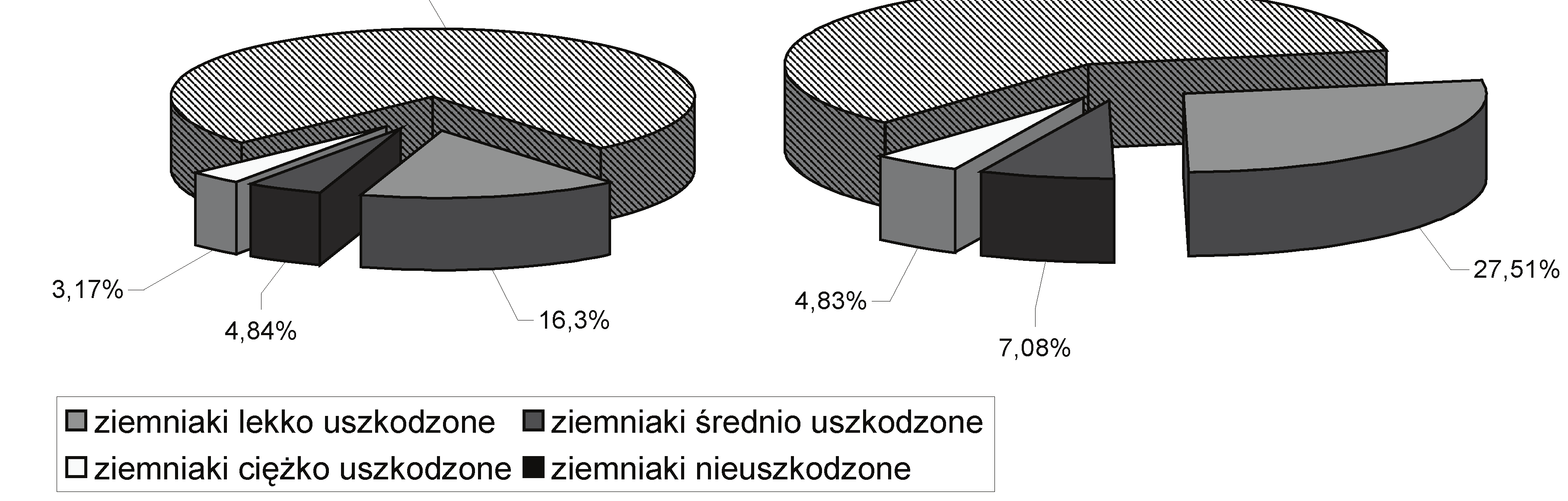 Wpływ wybranych czynników... Natomiast na glebie średniej na uszkodzenie bulw decydujące znaczenie miało duże zbrylenie plantacji.