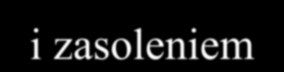 Związek między a* CDOM (l), a CDOM (l), I TOT, i zasoleniem.4.5 a CDOM *(35) [mmol -1 m 2 ].3.2.1 y = (.36*x)/(3.18 + x) R 2 =.87, n = 125 I TOT /DOC [QSE*m 3 *mmol -1 ].4.3.2.1 y = (.416*x)/(31.