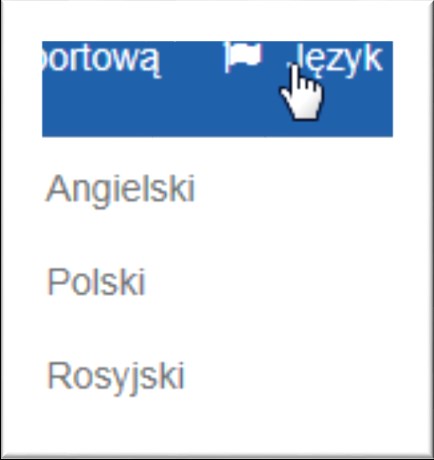 2.2. Ekran startowy Po zalogowaniu na ekranie pojawi się pulpit główny, a w nim funkcje przypisane do roli.