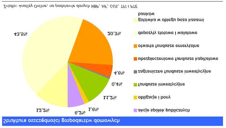 Jak inwestuj Polacy?