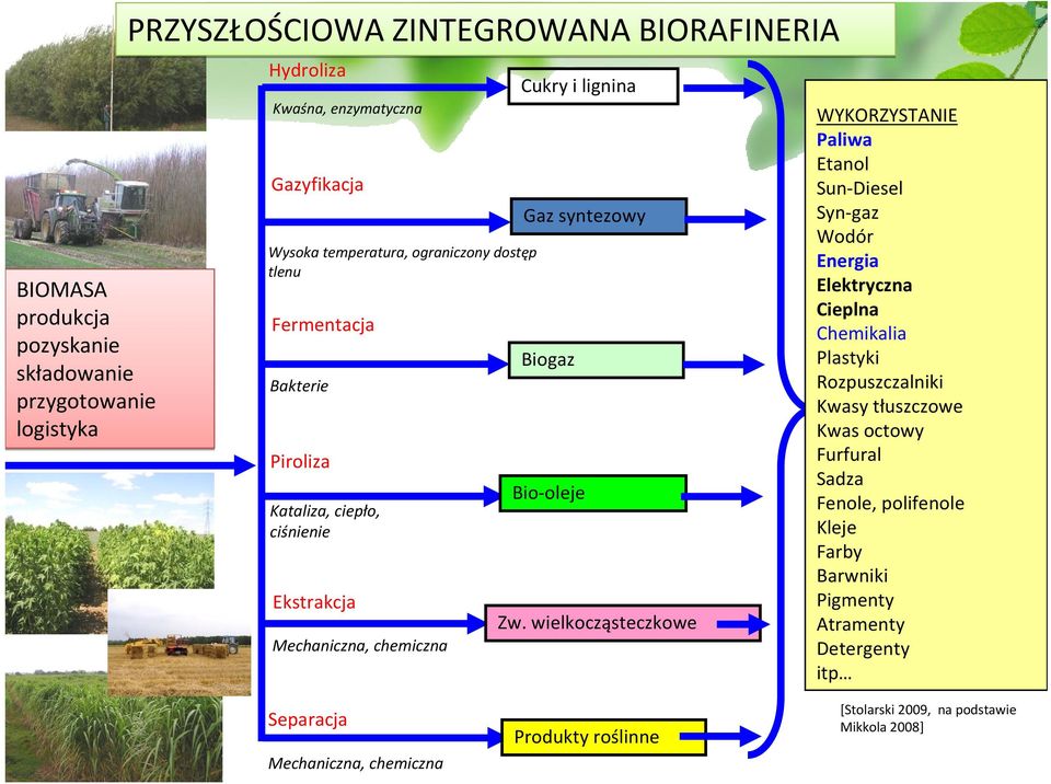 wielkocząsteczkowe WYKORZYSTANIE Paliwa Etanol Sun Diesel Syn gaz Wodór Energia Elektryczna Cieplna Chemikalia Plastyki Rozpuszczalniki Kwasy tłuszczowe Kwas octowy