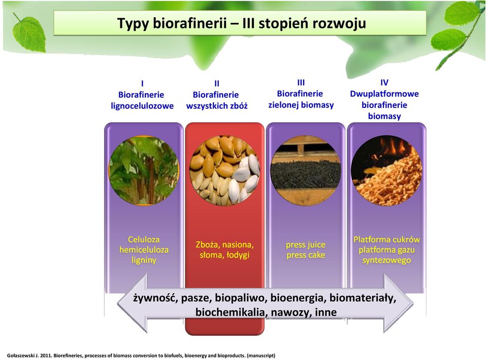 żywność, pasze, biopaliwo, bioenergia, biomateriały, biochemikalia, nawozy, inne Gołaszewski