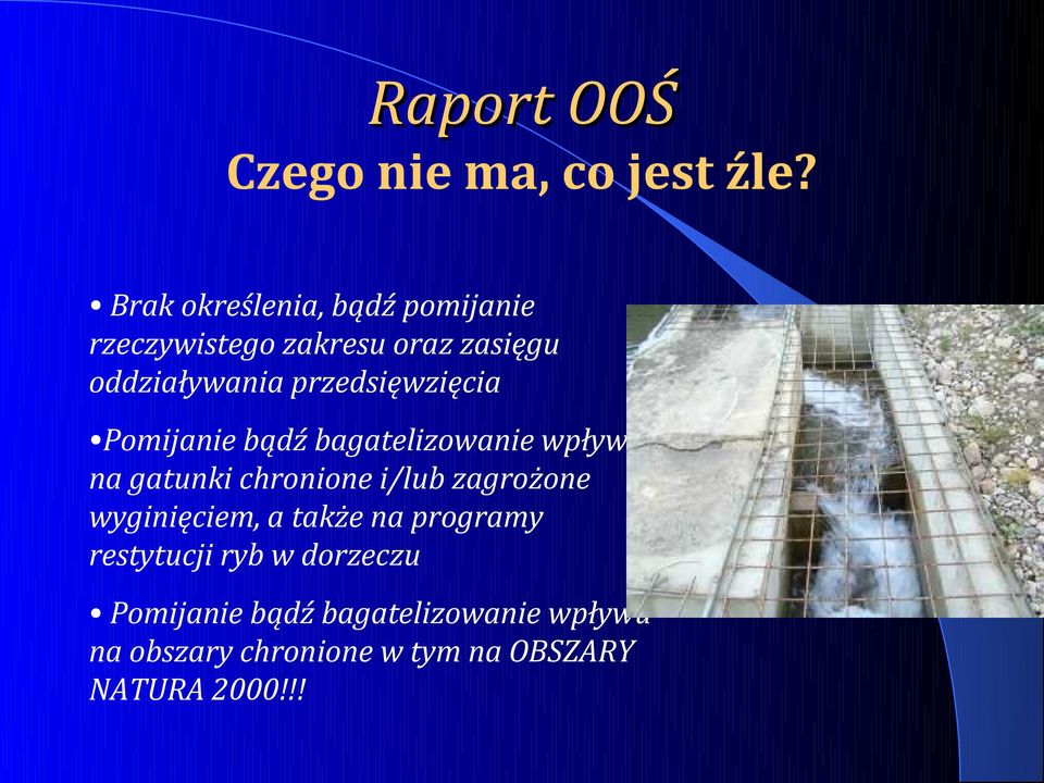przedsięwzięcia Pomijanie bądź bagatelizowanie wpływu na gatunki chronione i/lub