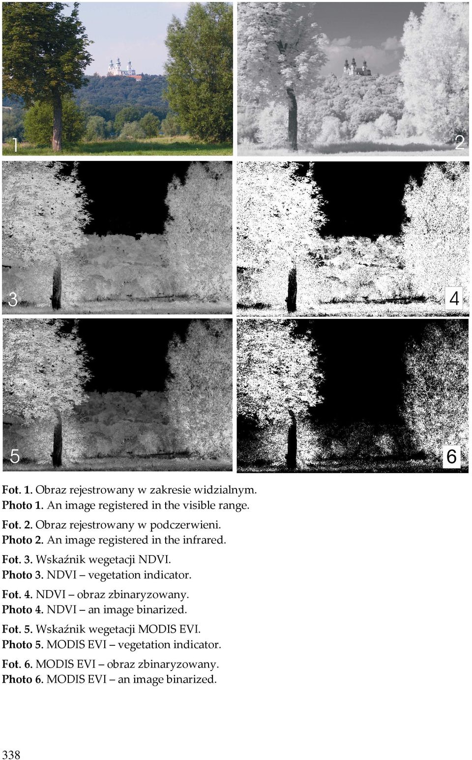 Photo 3. NDVI vegetation indicator. Fot. 4. NDVI raz zinaryzowany. Photo 4. NDVI an image inarized. Fot. 5.