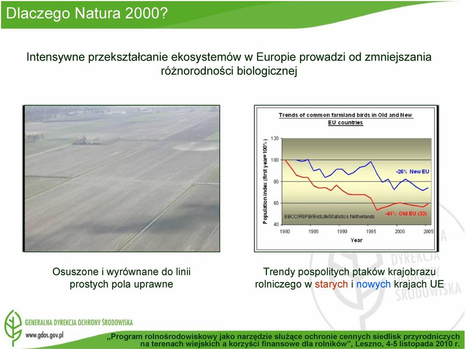 zmniejszania różnorodności biologicznej Osuszone i wyrównane